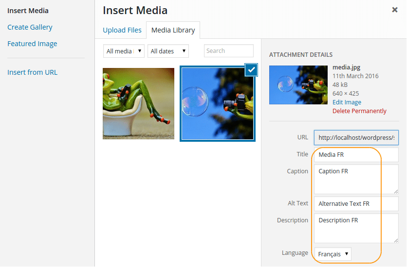 insert-media