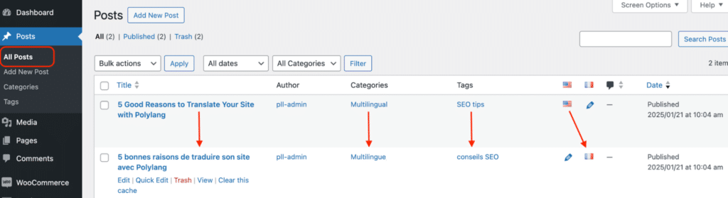 Verification of the multilingual import in the WordPress admin Polylang and WP Ultimate CSV Import pro