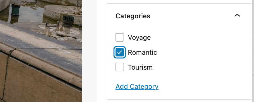 my category in english